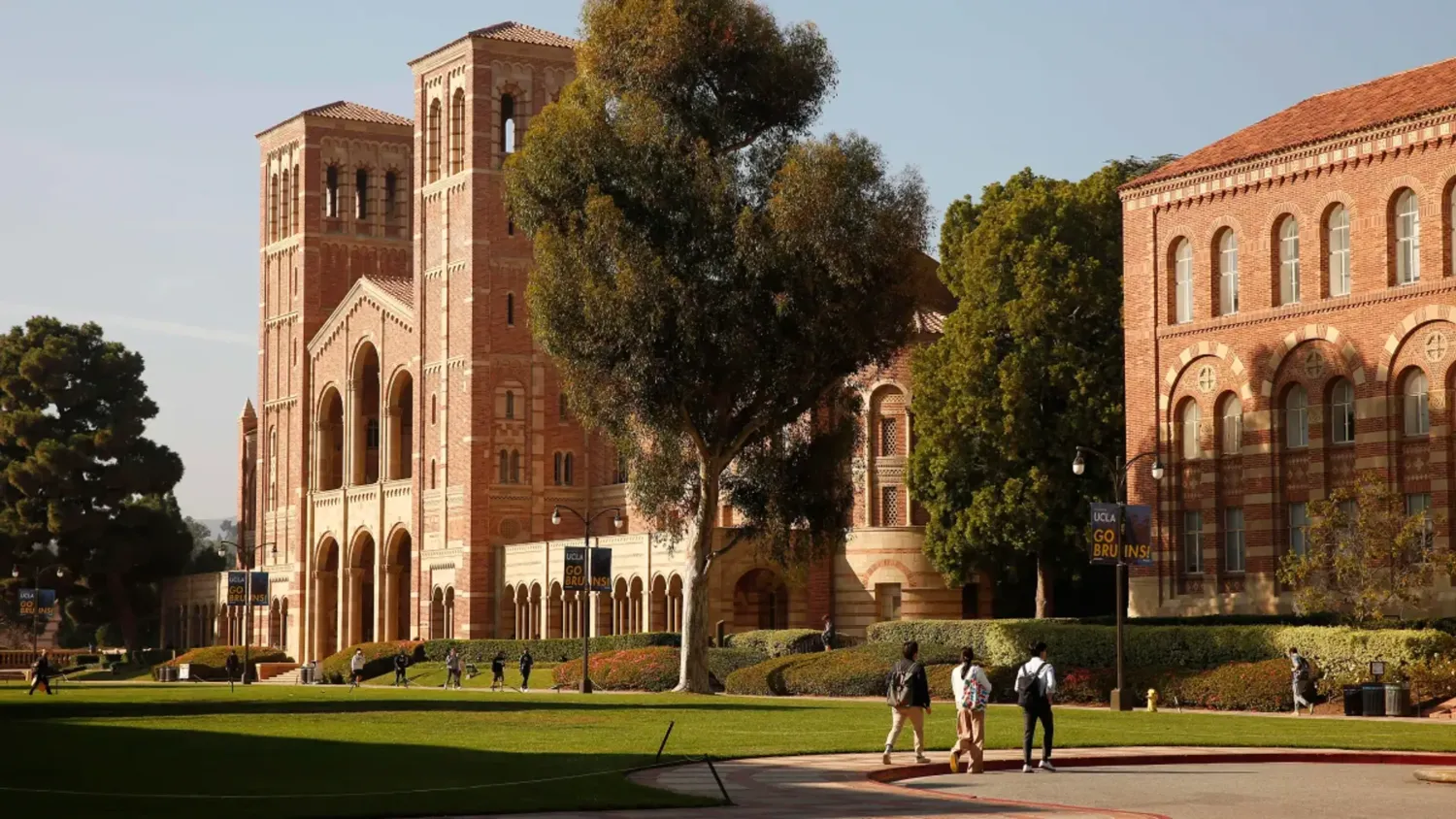 UCLA Case Study Header